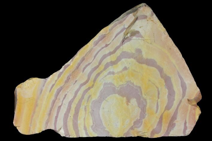 Polished Binthalya Opal Slab - Western Australia #132957